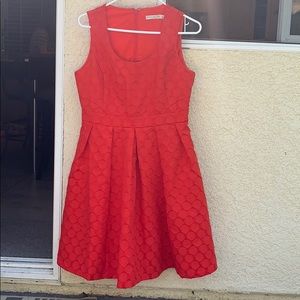 New York & Company Eva Mendes Dress